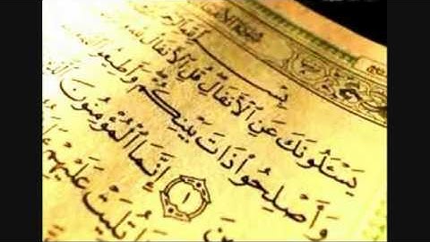 بداية من سورة الأنفال بصوت القارئ يحيى بن محمد الحكمي