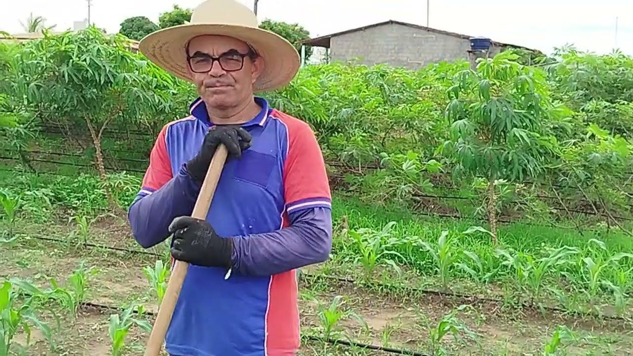 O jumentinho na carroça e o homem da roça 