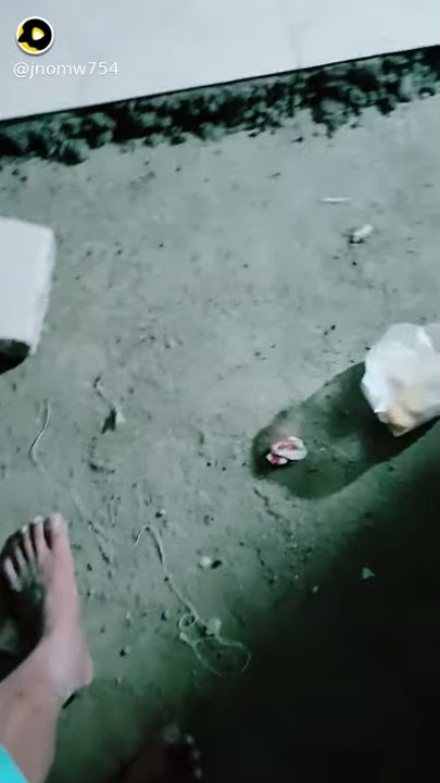 Video kuli bangunan pada lembur