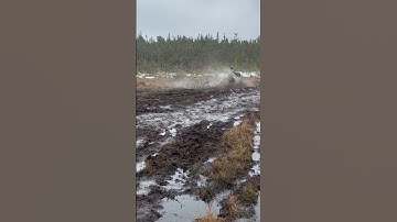 Can Am Renegade Wheelies! #shorts