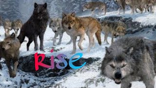 Twilight wolf || Rise ||