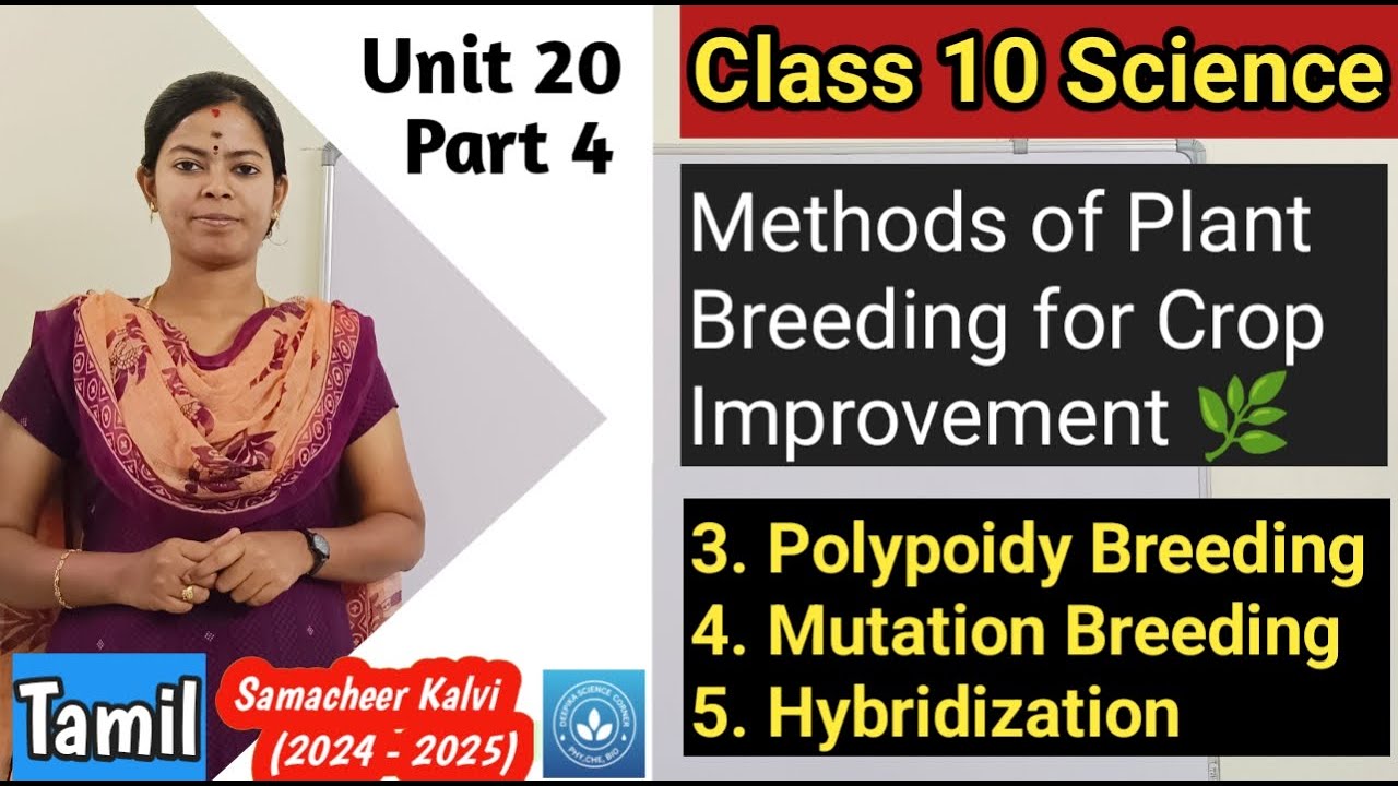 Methods of Plant Breeding - Polyploidy Breeding, Mutation Breeding and ...