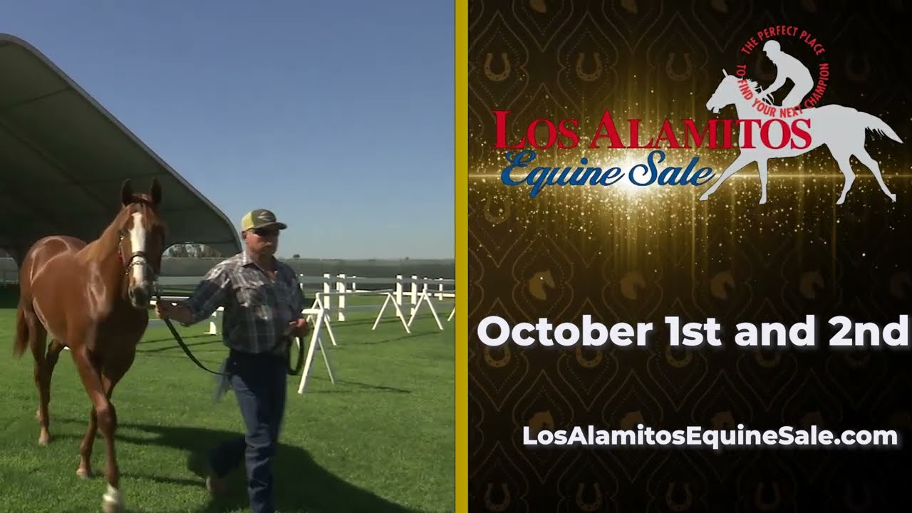 Los Alamitos Race Course