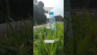 Download Lagu kata-kata.#shorts #katakata#katakatabijak#katakatamotivasi MP3 Download Lagu kata-kata.#shorts #katakata#katakatabijak#katakatamotivasi MP3