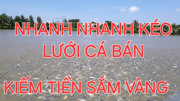 MƯA BÃO TRANH THỦ BẮT CÁ KIẾM TIỀN TẾT 2026, NHÀ QUÊ LÀM GIÀU