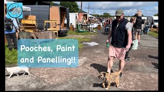 Pooches, Paint and Panelling