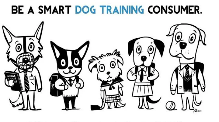 Transparency:  Questions to Ask a Dog Trainer