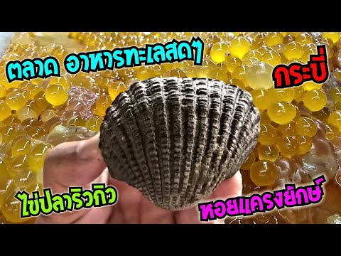 อัปเดท ตลาดอาหารทะเลสด มหาราช กระบี่ ตลาดที่เจ๊เบียร์ มาช็อป #Dummy_Channel