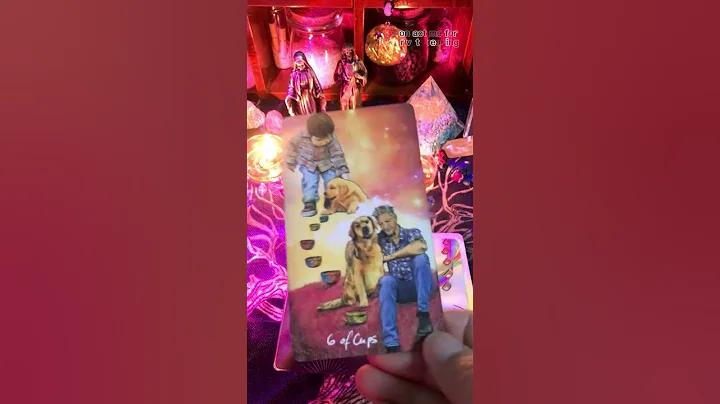 💟 Free personal reading. Click the top link in the comment area. 🔮 #tarot #tarotreading #shorts