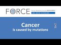 Cancer is caused by mutations
