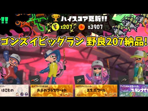 【字幕解説付き】ゴンズイ地区ビッグラン 野良で207納品！【スプラトゥーン3/サーモンランNW】