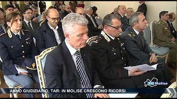 Come cercare un ricorso al TAR?