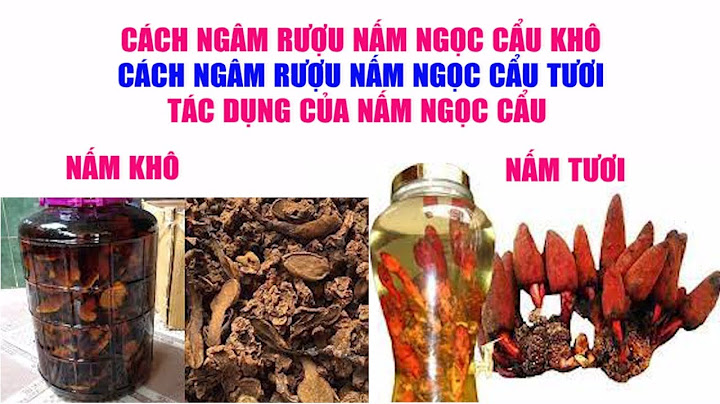 Hướng dẫn cách ngâm rượu ngọc cẩu