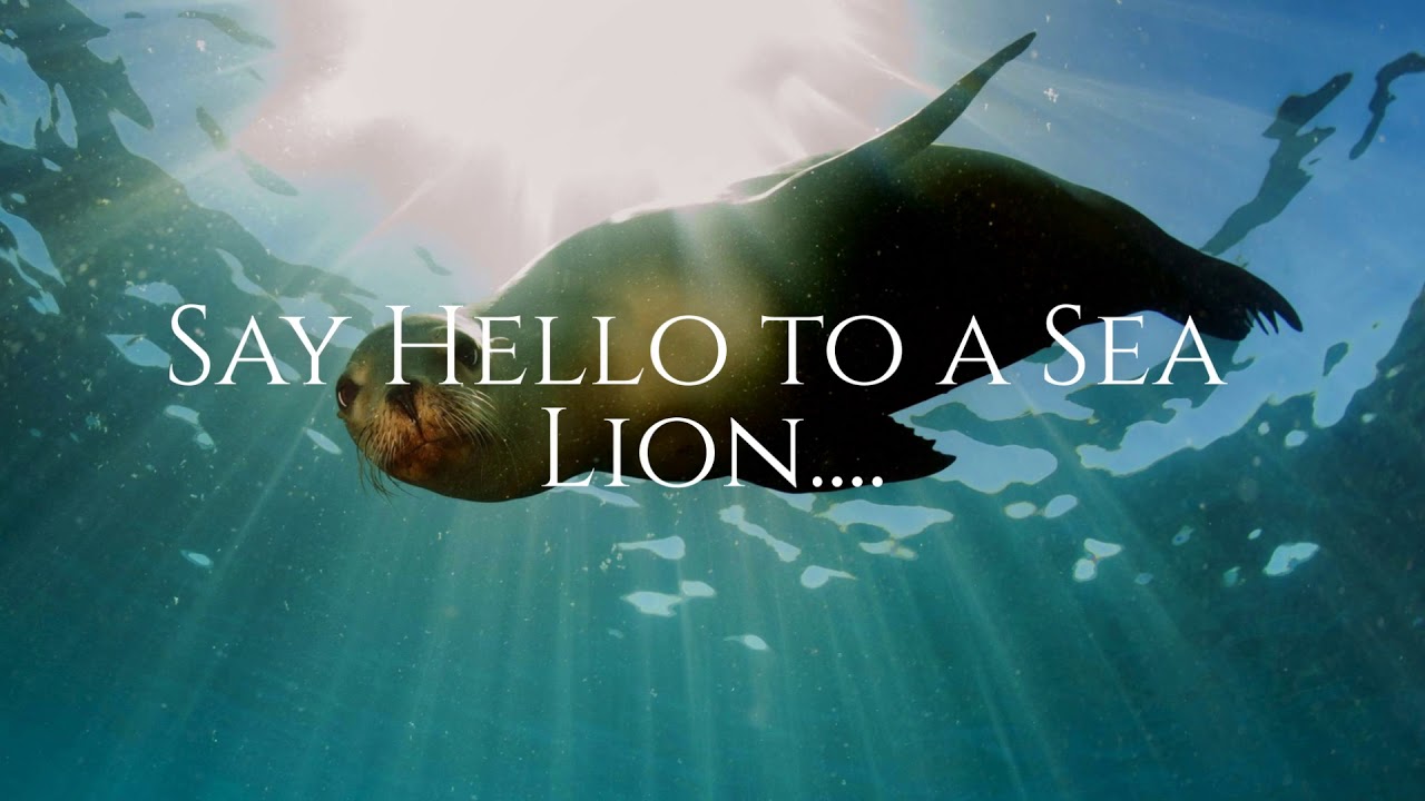 Bucket List Vacations