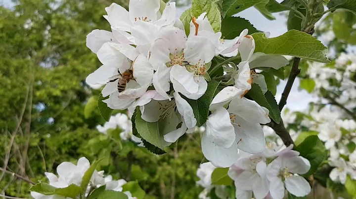 Copy of 20170422 182549