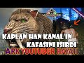 🐯 KAPLAN HAN KANALIN KAFASINI ISIRDI ! 😱 / ARK YOUTUBER HAYATI #13 @Han Kanal