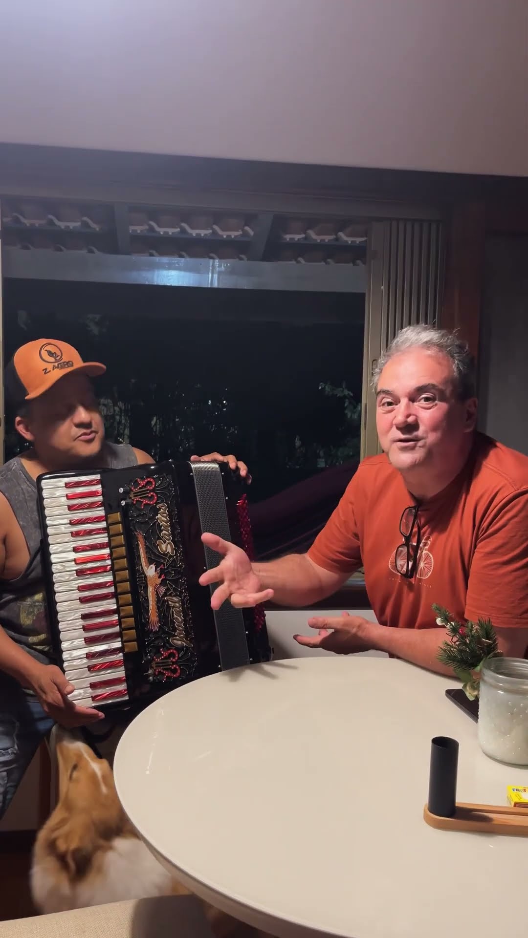 https://rifei.com.br/acordeon-melody-president