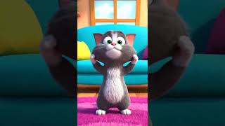 Firefly Funny 3D cartoon animation of a fluffy grey cat staring intensely at its own moving tail It