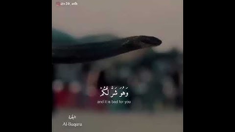 قوله تعالى:( وعسى ان تكرهوا شيئا وهو خير لكم) تلاوة القارئ الشيخ: #ماهر_المعيقلي