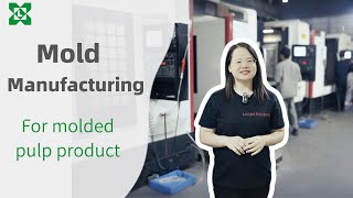 Welcome to Lvxin Packaging – Your expert in pulp molding packaging AND tooling solutions.