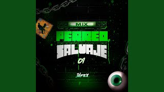 MIX PERREO SALVAJE 01