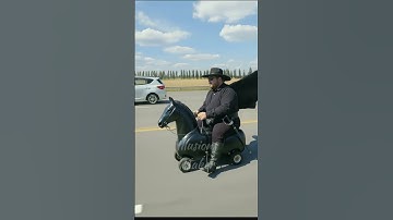 No way !!! 😱😂 #zorro #amazing #humor #fyp #fypシ #fypage #fypシ゚viral