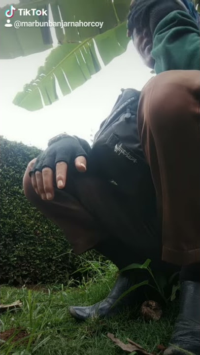 Masihol au inong