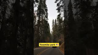 Yosemite park in California, US 🇺🇸 What to visit in USA