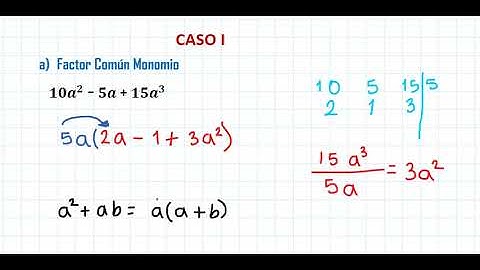 CASO I Factor Común Monomio y Factor Común Polinomio