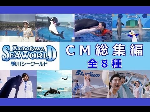 千葉 鴨川シーワールド Cm総集編 全8種 Youtube 千葉 鴨川シーワールド Cm総集編 全8種 Youtube