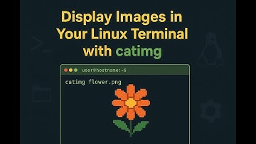 Display Images in Your Linux Terminal with catimg