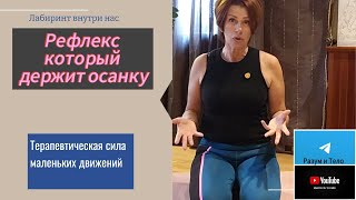 Урок 7. Рефлекс из детства, который держит осанку.Терапевтическая сила маленьких движений.