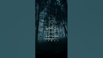 أكتب شيء تؤجر عليه 🤍🍃🍂بصوت القارئ عبدالرحمن مسعد