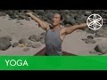Yoga for beginners morning with rodney yee  yoga  gaiam