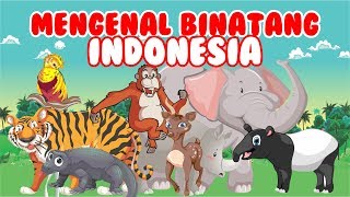 Mengenal Binatang Khas Indonesia ~ Lagu Anak Indonesia