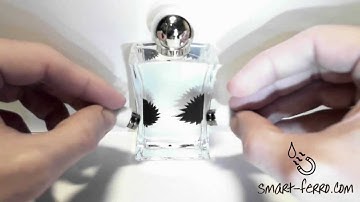 Smart-Ferro Ferrofluid display