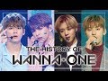 WANNAONE SPECIAL ★Since 'Energetic' to 'Spring Breeze'★(47m stage compilation)
