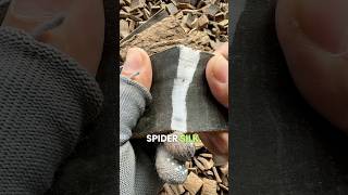 Trees Made From Silk