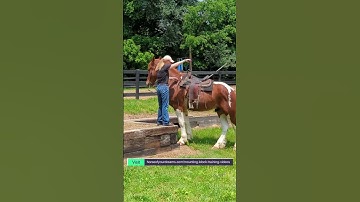 Teach your horse to step over to the mounting block. Step by step.