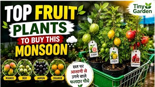 Best Fruit Plants for Terrace Garden | Monsoon Nursery Shopping #homegarden #terracegarden #guava