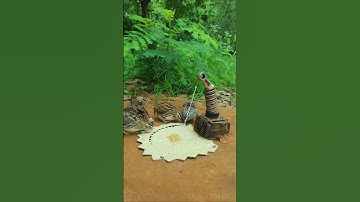 Creative DIY Trap Technique - quick bird trap #shorts