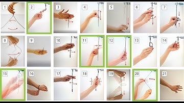 Serpentine Video Figure