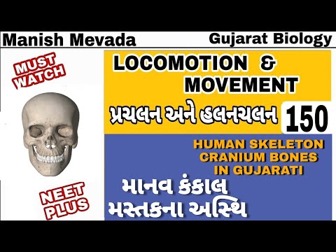 HUMAN SKELETON CRANIUM  BONES IN GUJARATI || માનવ કંકાલ મસ્તકના અસ્થિ