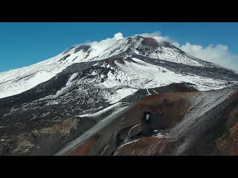 Video: Dove è importante la biodiversità?