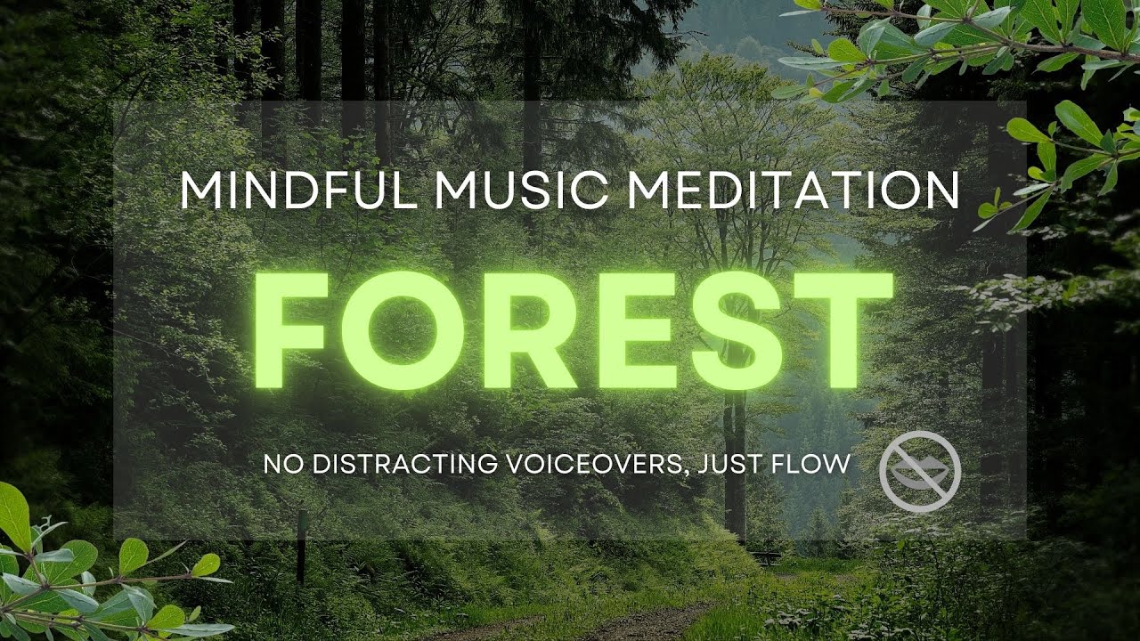 10 Minute Deep Forest Meditation Music: Relax Mind Body, Inner Peace ...