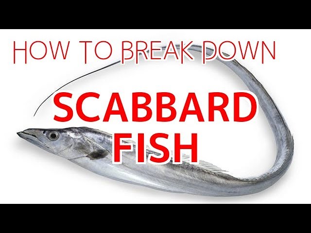 How To Break Down Scabbard Fish Tachiuo Sushi Chef Eye View Youtube