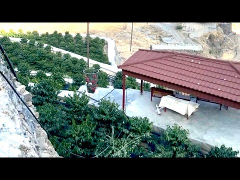 مزرعة الخرماء للبن الخولاني السعودي والسياحة الريفية