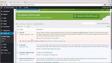 4 - Delete WordPress Plugins