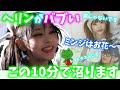 NewJeans ヘリンのかわいいところを集めたクリップ集 日本語字幕 NewJeans ヘリンのかわいいところを集めたクリップ集 日本語字幕