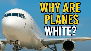 Why Are Planes Always White? The Surprising Truth